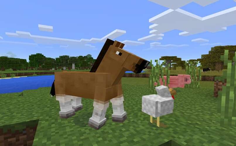minecraft caballo pollo cerdo