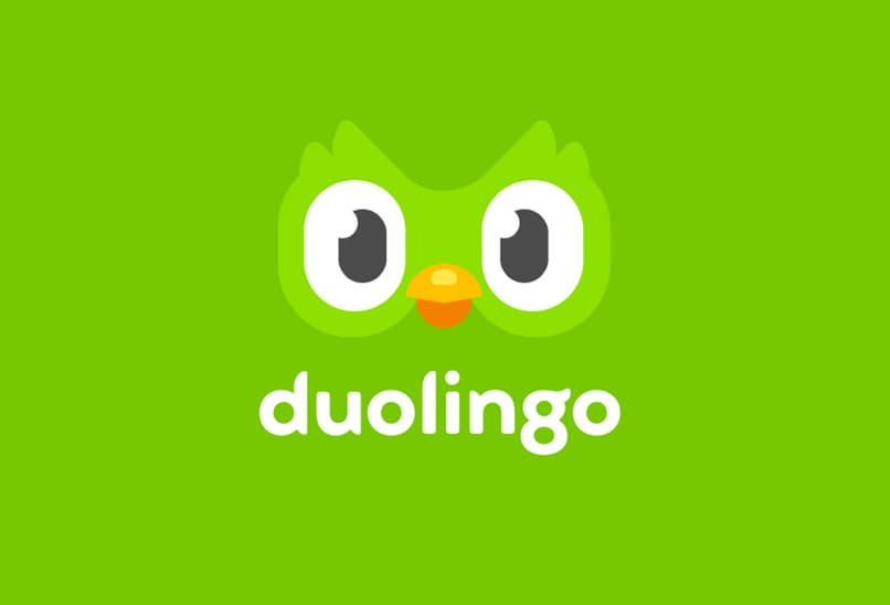 logo de la aplicacion duolingo