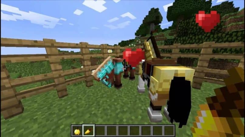 burros minecraft