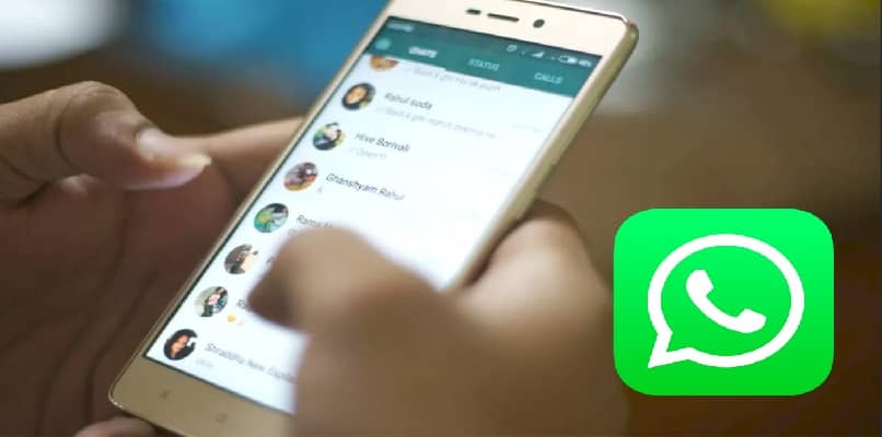 ver cantidad de mensajes enviados en whatsapp