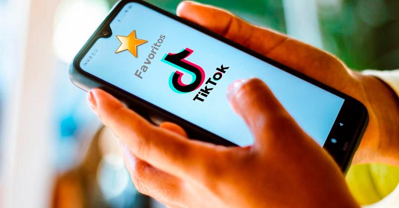 privacidad de tiktok